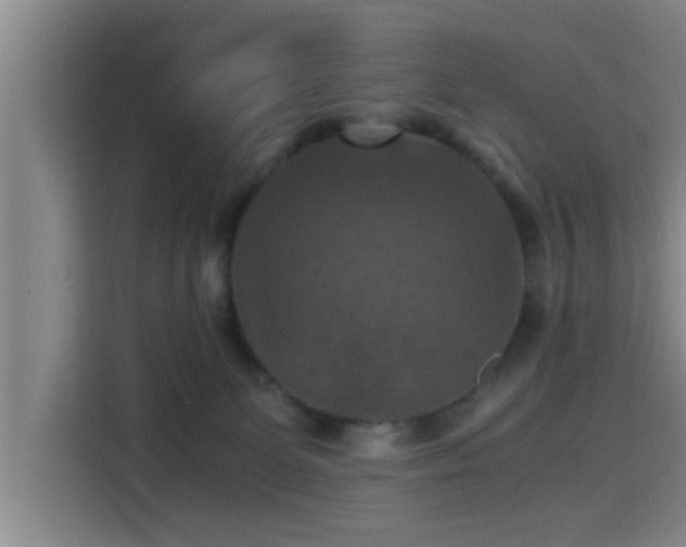 X0000115410131200911101619