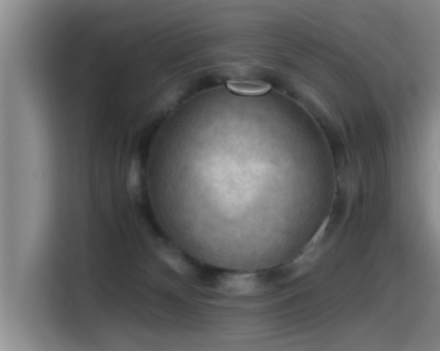 X0000115410132200911101619