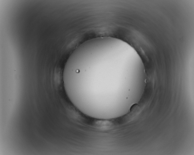 X0000115410133200911101619