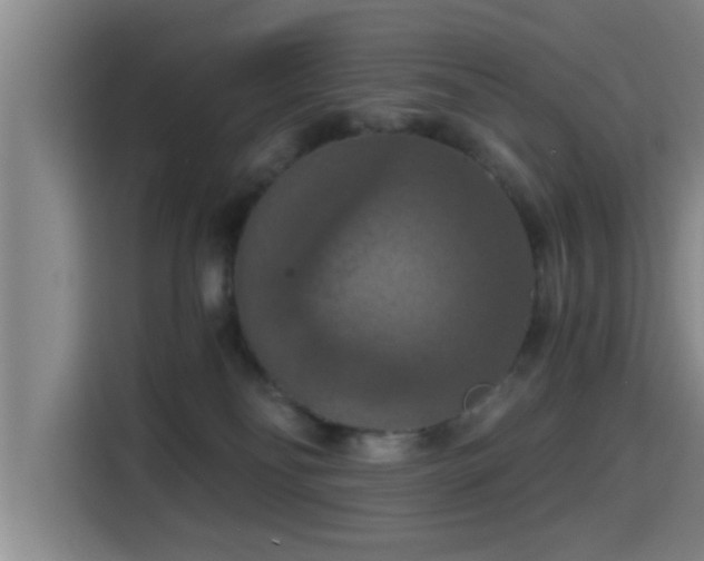 X0000115410134200911101619
