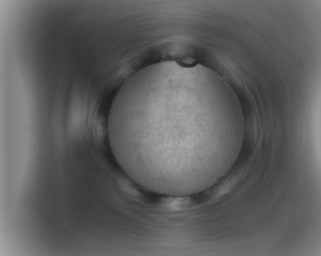 X0000115410135200911101619