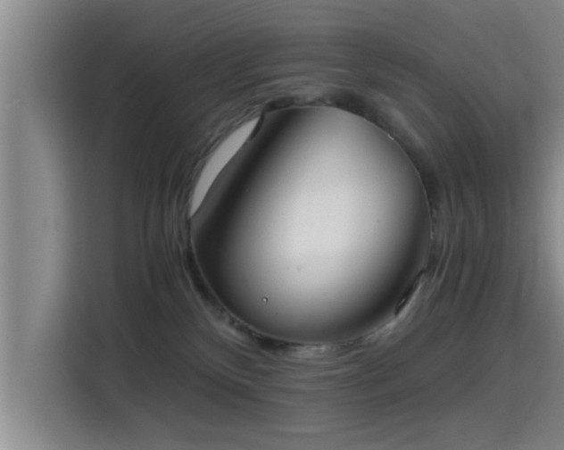 X0000115410136200911101619