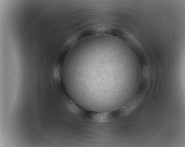 X0000115410138200911101619