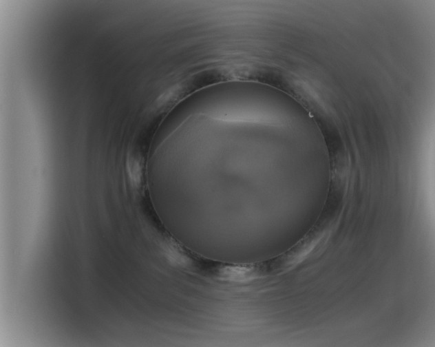 X0000115410139200911101619