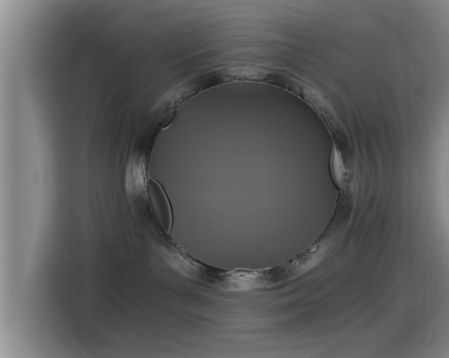 X0000115410143200911101619