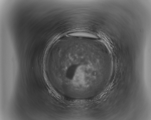 X0000115410145200911101618