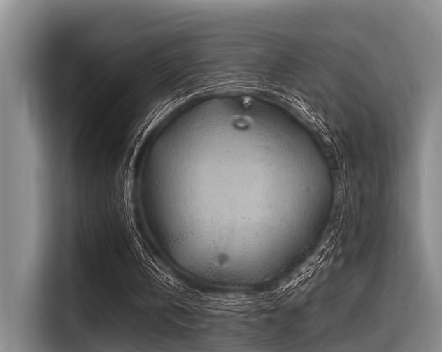 X0000115410146200911101618