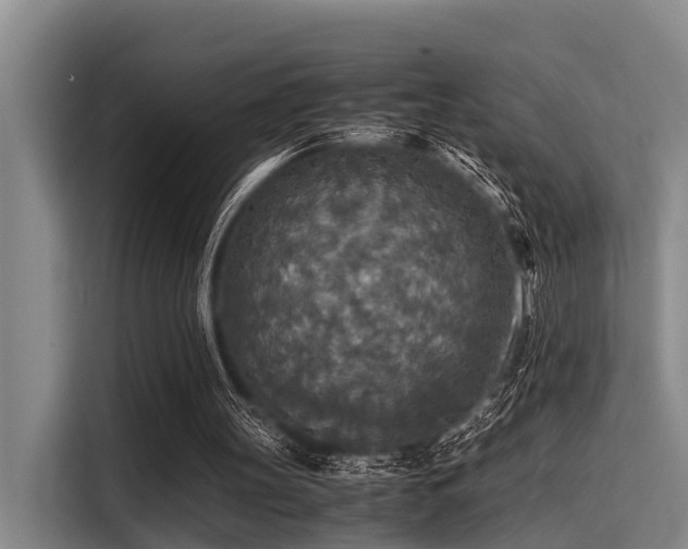 X0000115410147200911101618