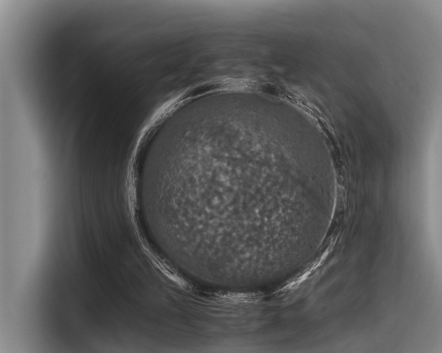 X0000115410149200911101618