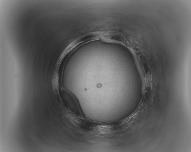 X0000115410150200911101618