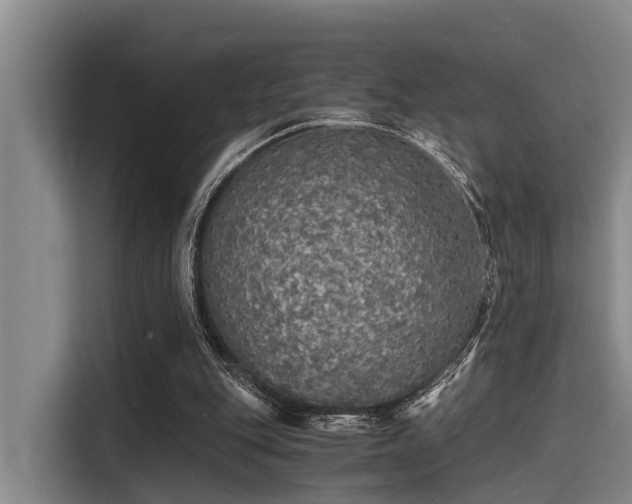 X0000115410151200911101618