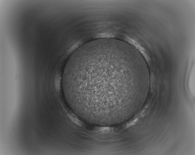 X0000115410153200911101618