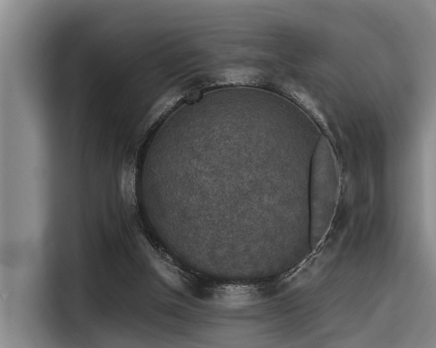 X0000115410154200911101618