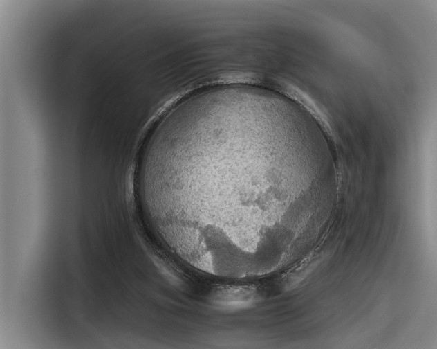 X0000115410155200911101618
