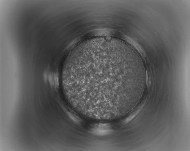 X0000115410157200911101618