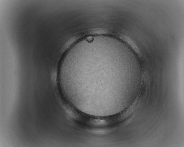 X0000115410159200911101618