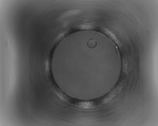 X0000115410161200911101618