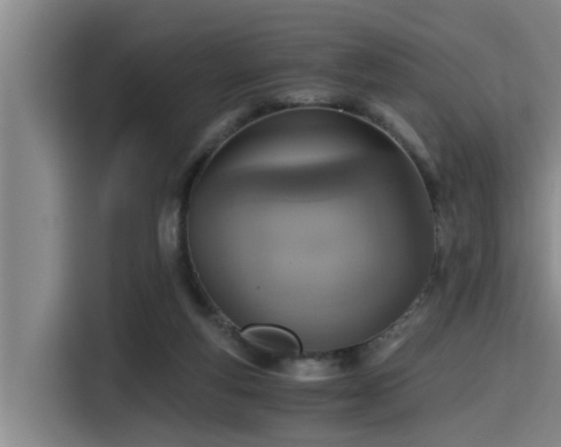 X0000115410163200911101618