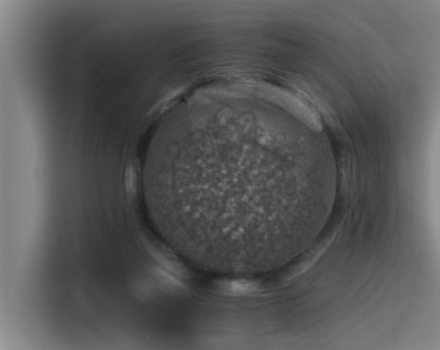 X0000115410165200911101618