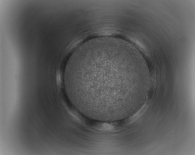 X0000115410166200911101618