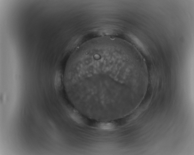 X0000115410169200911101618