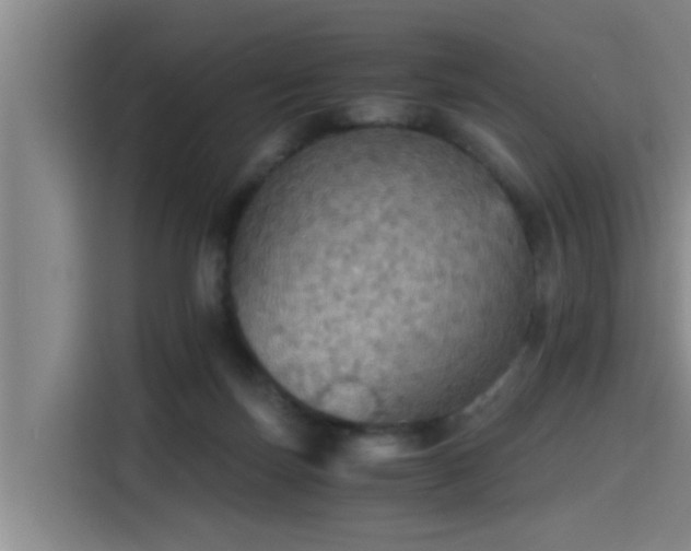 X0000115410171200911101619