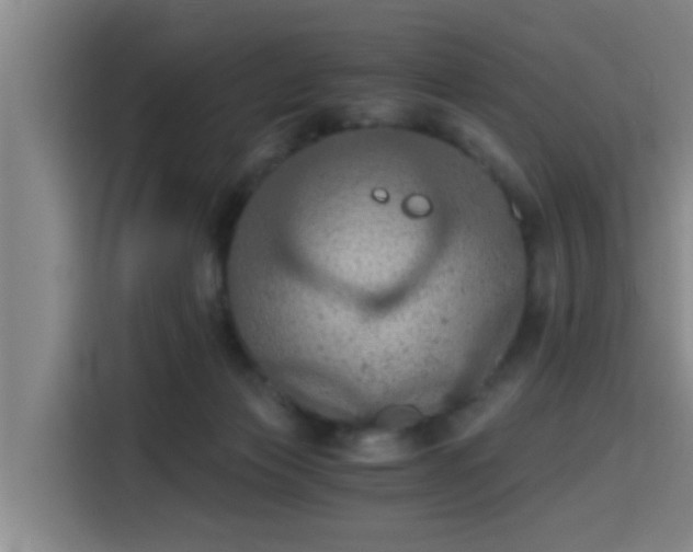 X0000115410173200911101619