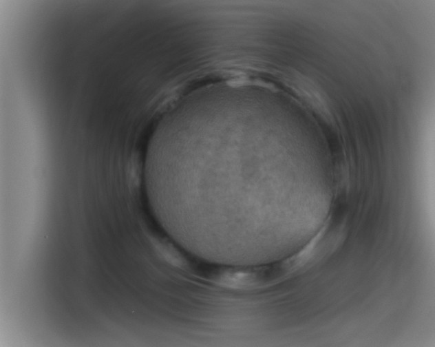 X0000115410174200911101619