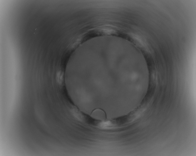 X0000115410177200911101619