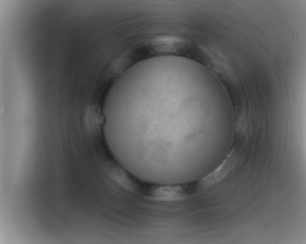 X0000115410179200911101619