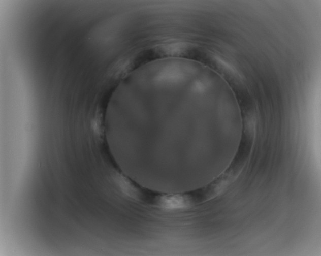 X0000115410181200911101619