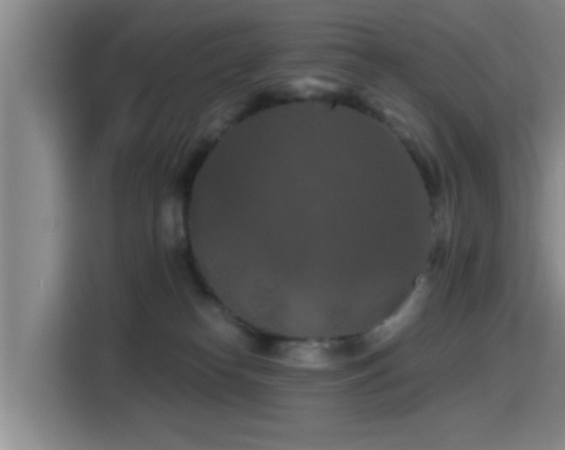 X0000115410182200911101619