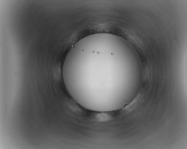 X0000115410183200911101619