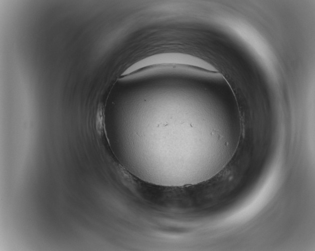 X0000115410190200911101619
