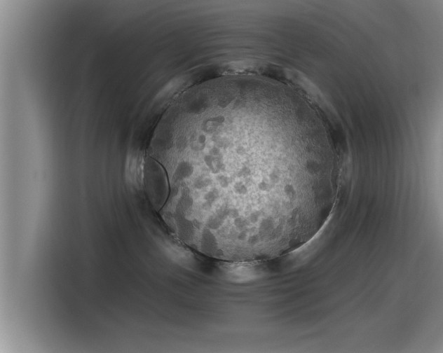 X0000115410191200911101619