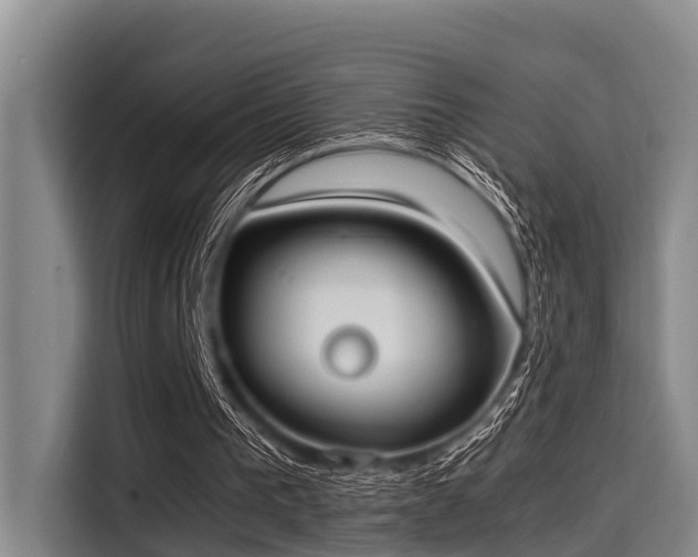 X0000115410193200911101618