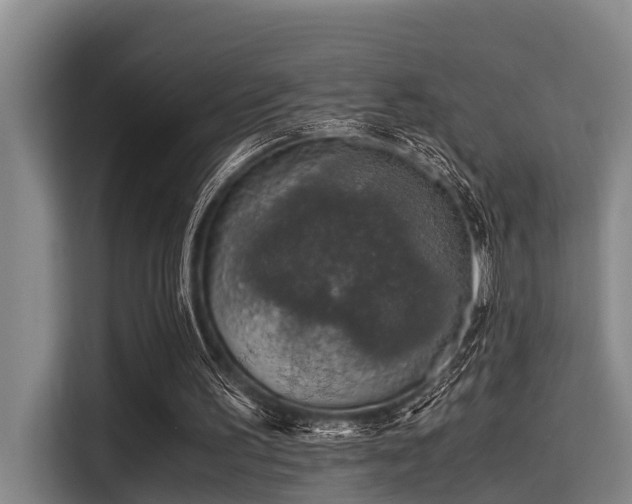 X0000115410195200911101618