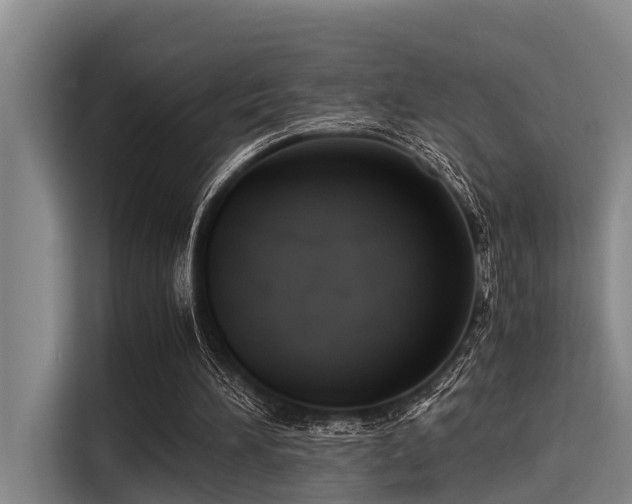 X0000115410196200911101618
