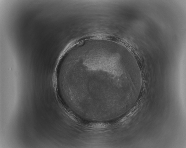 X0000115410198200911101618