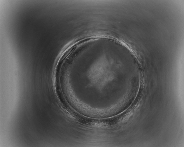 X0000115410199200911101618