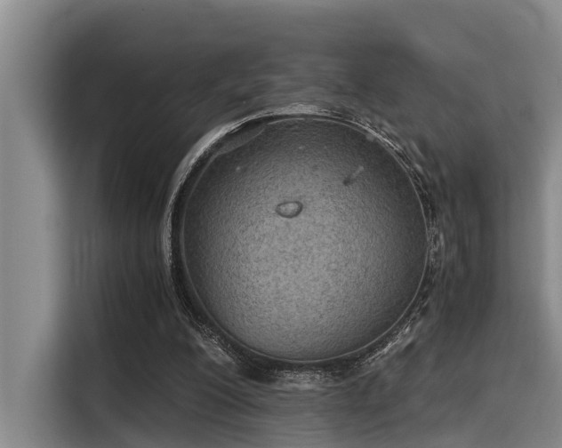 X0000115410200200911101618