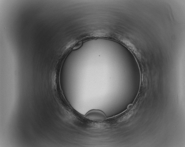 X0000115410201200911101618