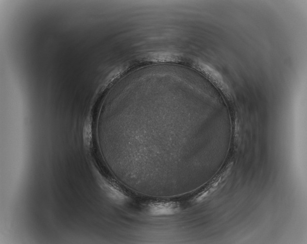 X0000115410202200911101618
