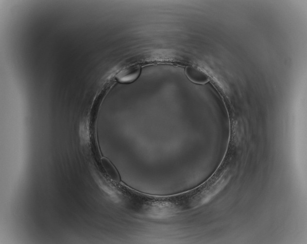 X0000115410203200911101618