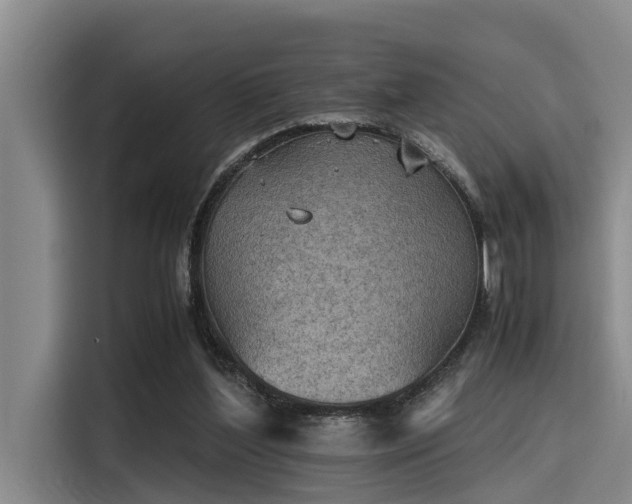X0000115410204200911101618