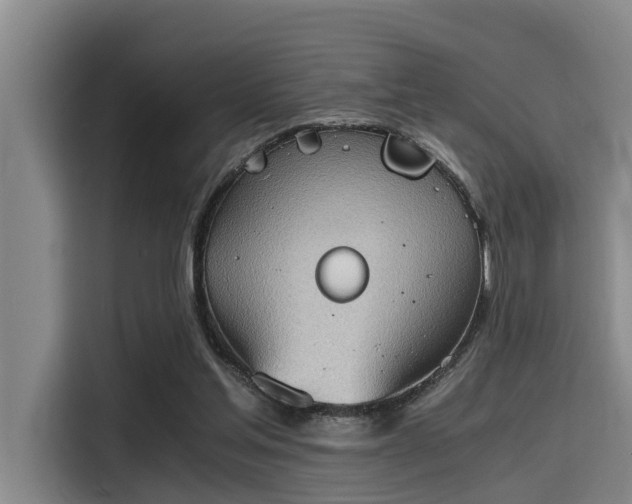 X0000115410205200911101618
