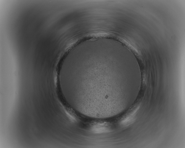 X0000115410206200911101618