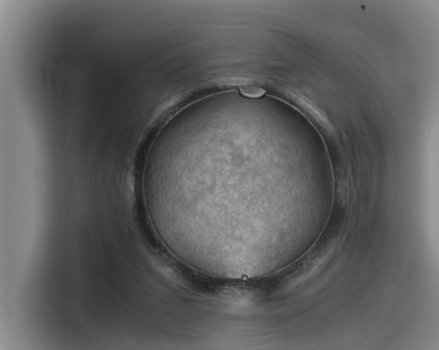 X0000115410207200911101618