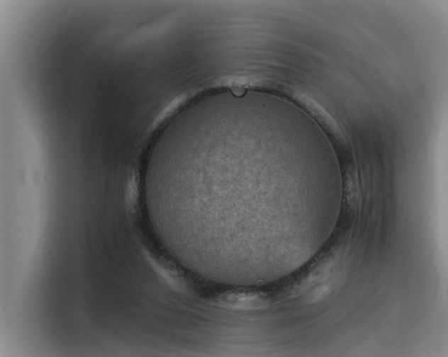 X0000115410208200911101618