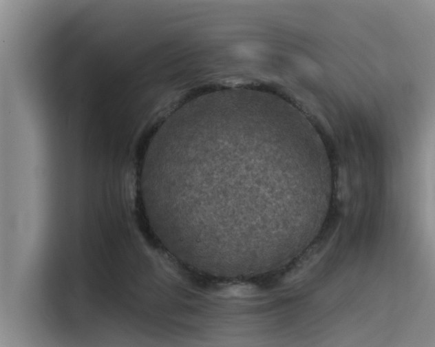 X0000115410210200911101618